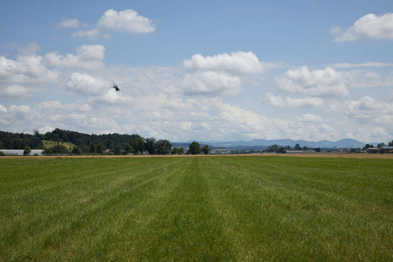 Flugfeldpark_Vogt_Giuseppe Micciche_2024_06.jpg