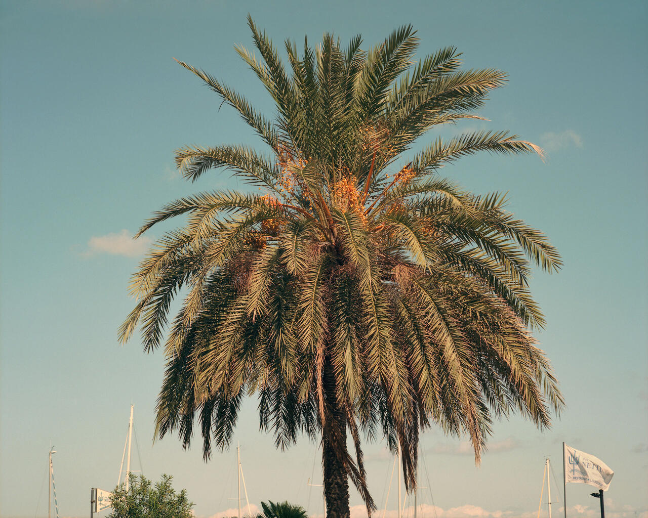 No-ponte_No.39_Messina_2020_Giuseppe-Micciche_WEB.jpg